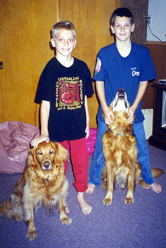 boyzndogs.jpg