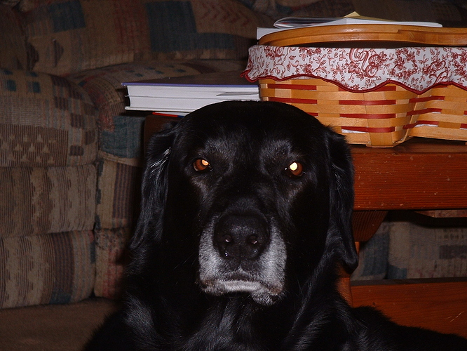 4-20-03 friends and family 037.jpg