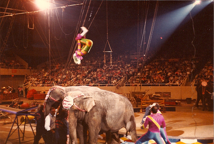 Leaps.jpg
