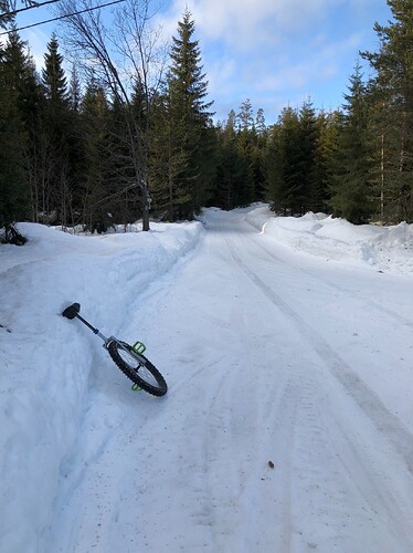 Snow covered road with pine trees on either side and unicycle lying by the edge