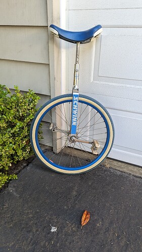 Blue Schwinn Uni