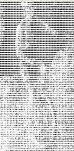 asciiuni.jpg