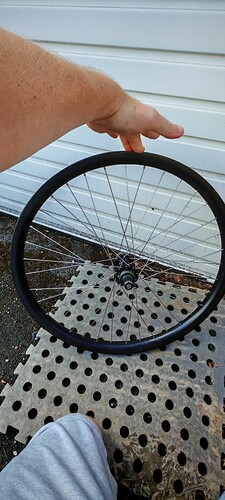 IMG_20250831_124241