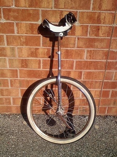 Schwinn unicycle hot sale seat