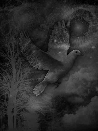 dove_fantasy.jpg