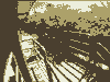 avatar8274_0.gif