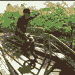 3334_75x75_8col.gif