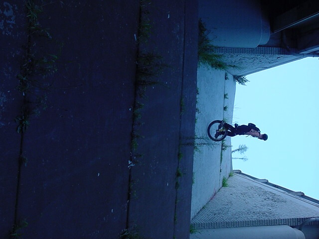 dsc00022.jpg
