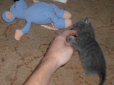 PICT0007.JPG