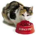 attachment.php.gif