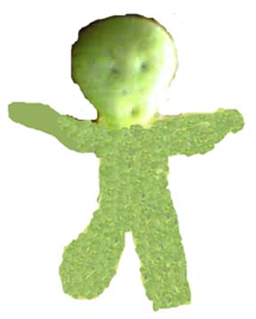 untitled.jpg