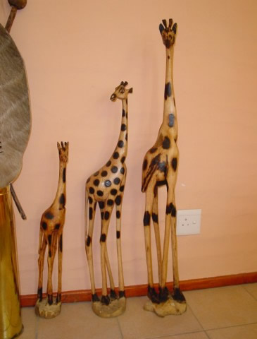 curios-Giraf-large.jpg