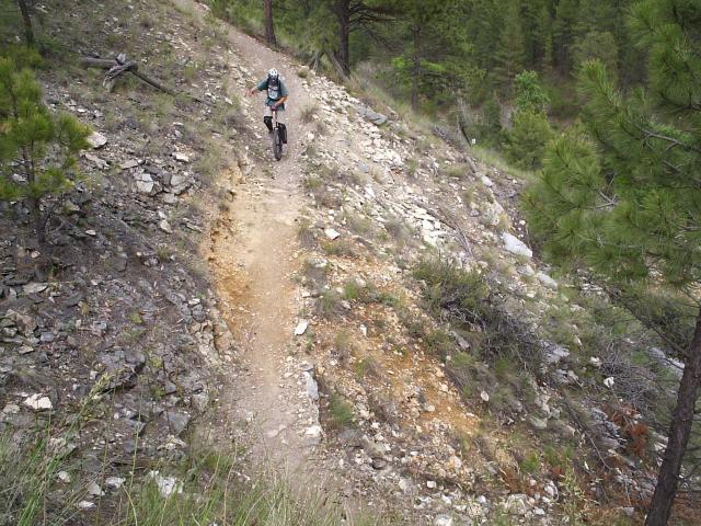 Forrest ridge trail.JPG