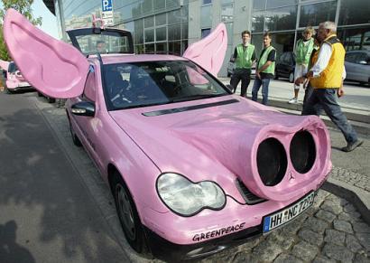 pig car.jpg