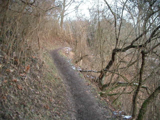 CIMG0545.JPG