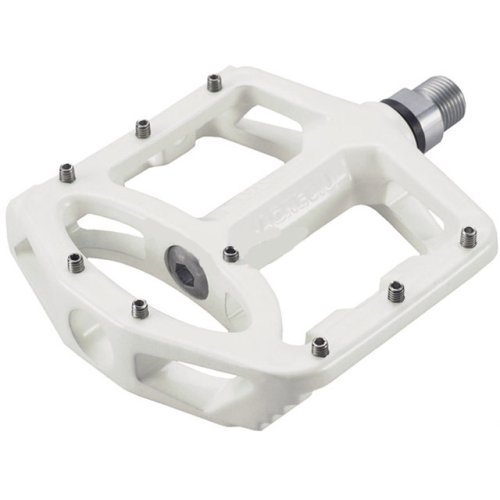 41-otyAsP6L.SS500.jpg