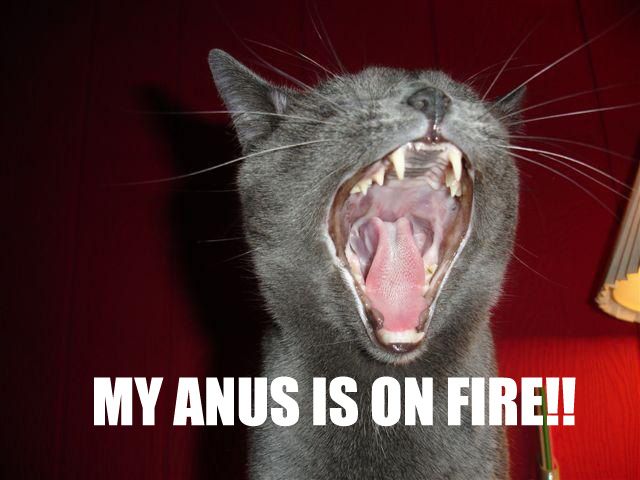 assfirevr8.jpg