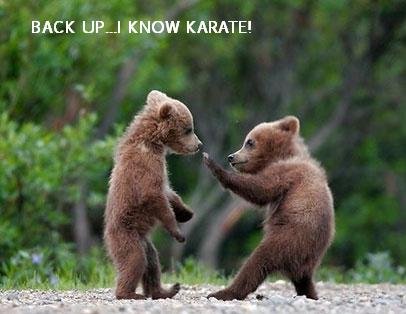 i no karate.jpg