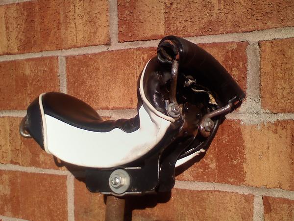 saddle.jpg