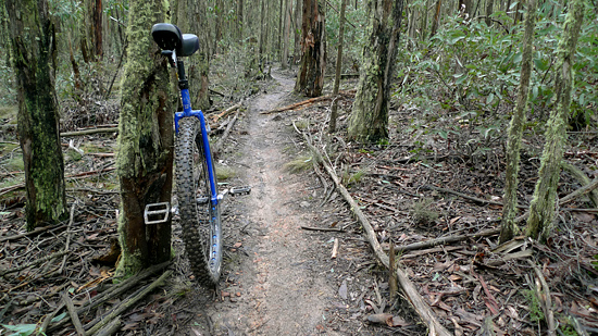 woodend_mtb_track_unicycle_011.jpg