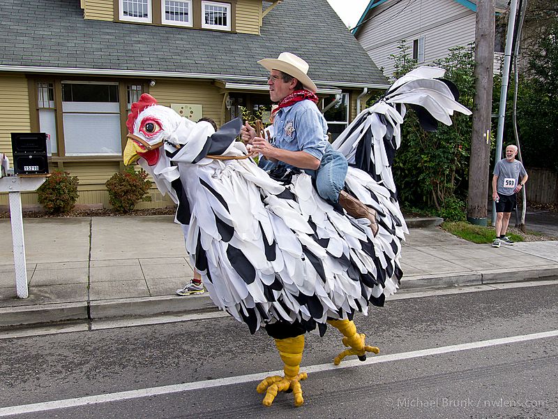 Brot Trot 2011 Chicken.jpg