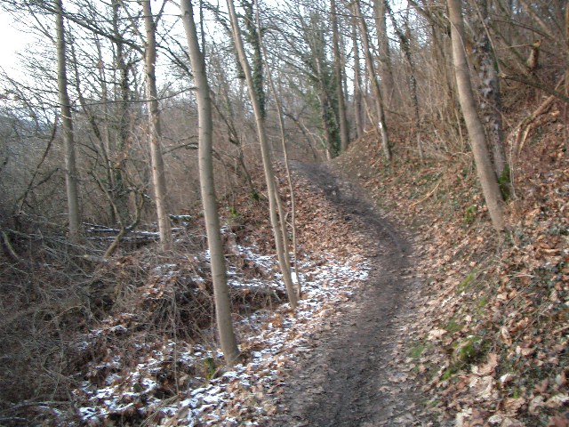 CIMG0544.JPG
