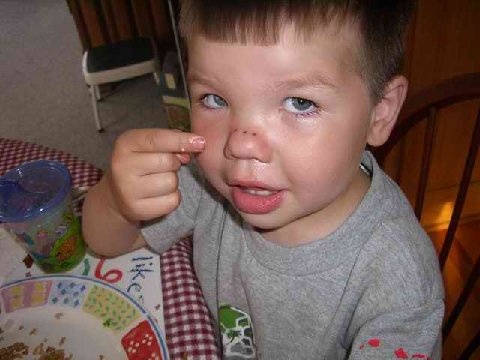 fork nose 1.jpg