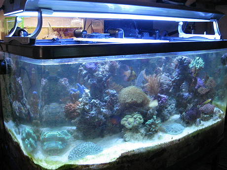 Aquarium.jpg