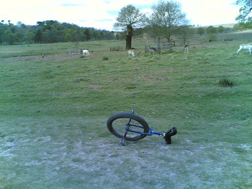 Bradgate Park 3.jpg