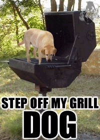 grilldog.jpg