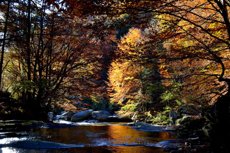 DSC_0125.jpg