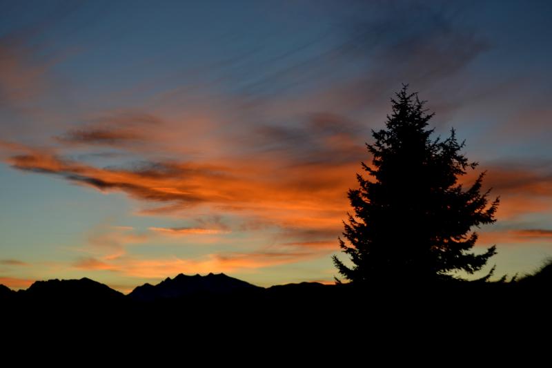 DSC_0364.jpg