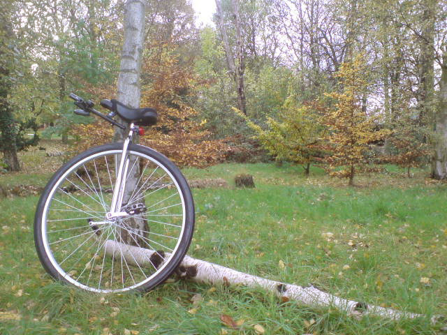 Unicycle Grove 1.11.09a.jpg
