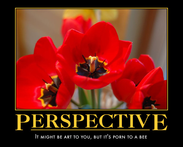 perspective.jpg