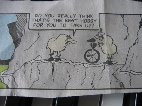sillygoat.jpg